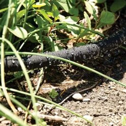 Rubber Soaker Hose, 5/8in Diameter X 250ft Length, Pro Series By A.M. Leonard -Amleos gw250 2