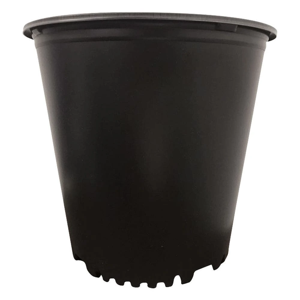 Nursery Container, Blow Molded, Trade 5, Bundle Of 55 By Haviland 3 Nursery Container, Blow Molded, Trade 5, Bundle Of 55 By Haviland