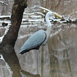 Great Blue Heron Decoy By Flambeau Outdoors 7 Great Blue Heron Decoy By Flambeau Outdoors -Amleos her4 2