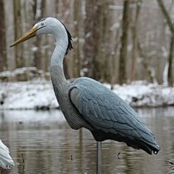 Great Blue Heron Decoy By Flambeau Outdoors 6 Great Blue Heron Decoy By Flambeau Outdoors -Amleos her4 live