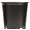 Nursery Container, Thermoformed, Trade 2, Bundle Of 126, High-Performance By Haviland 1 Nursery Container, Thermoformed, Trade 2, Bundle Of 126, High-Performance By Haviland -Amleos hp275 1