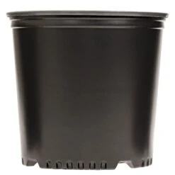 Nursery Container, Thermoformed, Trade 2, Bundle Of 126, High-Performance By Haviland