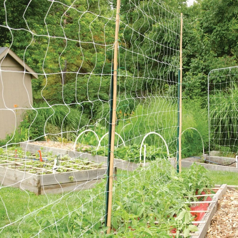 Trellis Netting, 4ft Height X 3,280ft Length By Hortonova 14 Trellis Netting, 4ft Height X 3,280ft Length By Hortonova - Image 12