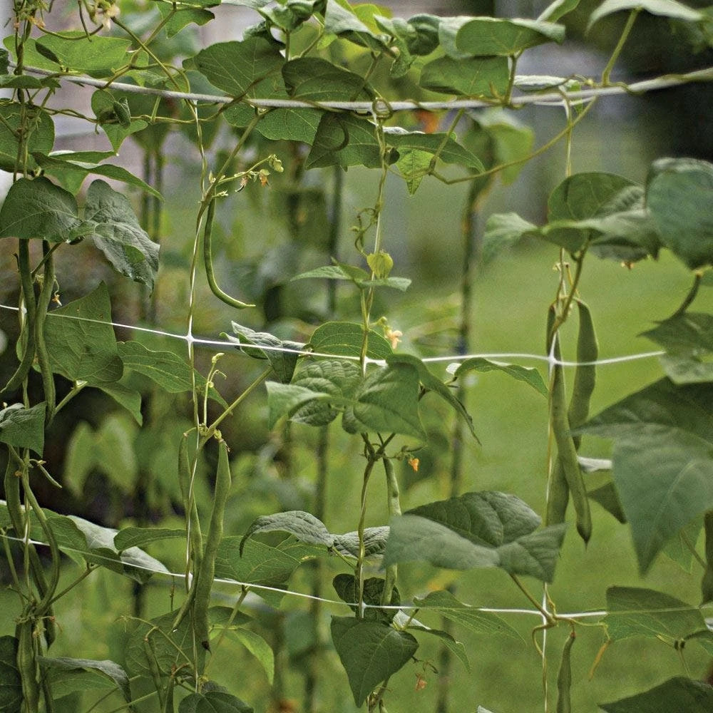 Trellis Netting, 4ft Height X 3,280ft Length By Hortonova 15 Trellis Netting, 4ft Height X 3,280ft Length By Hortonova - Image 13