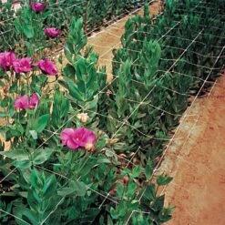 Trellis Netting, 4ft Height X 3,280ft Length By Hortonova 29 Trellis Netting, 4ft Height X 3,280ft Length By Hortonova -Amleos htn43280 7