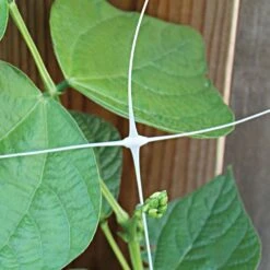 Trellis Netting, 4ft Height X 3,280ft Length By Hortonova 31 Trellis Netting, 4ft Height X 3,280ft Length By Hortonova -Amleos htn43280 9