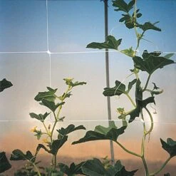 Trellis Netting, 4ft Height X 50ft Length By Hortonova -Amleos htn450 4
