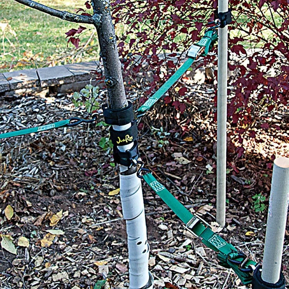 Small-Short Eye Loop Style Jeri-Rigg, Pack Of 2 4 Small-Short Eye Loop Style Jeri-Rigg, Pack Of 2 - Image 2