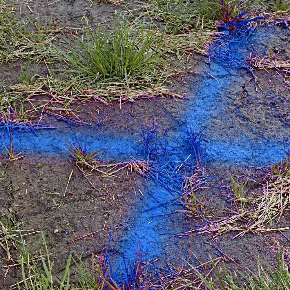 Quik Mark Spray Paint, Blue, 17oz Can, Case Of 12 Cans By Krylon 4 Quik Mark Spray Paint, Blue, 17oz Can, Case Of 12 Cans By Krylon - Image 2