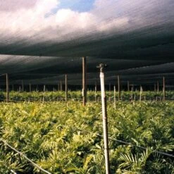 Black Knitted Polyethylene Shade Fabric, 50% Shade, 12ft Width