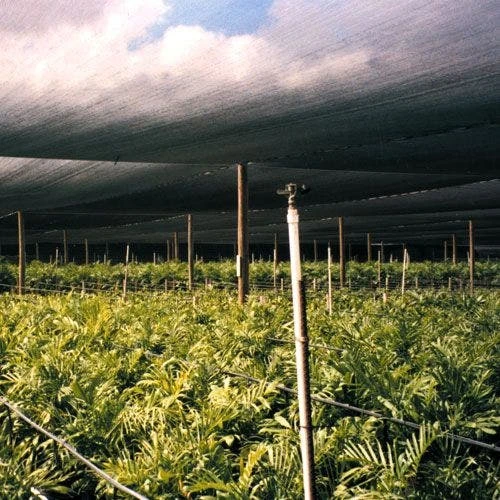 Black Knitted Polyethylene Shade Fabric, 60% Shade, 20ft Width 3 Black Knitted Polyethylene Shade Fabric, 60% Shade, 20ft Width