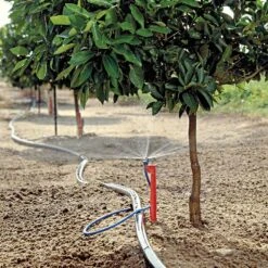 Maxijet Irrigation Ag Spray Stake Assembly, 12ft Diameter, Package Of 25 -Amleos max36 citrus fieldshot 1