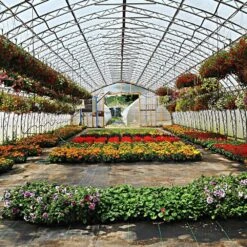 Greenhouse Grow Film, Suncover, Clear, 24ft Width, 4-Year, 6mil By Ginegar -Amleos mr24u46c 2