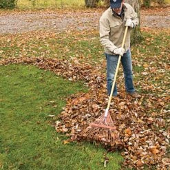 Bulk Pack Of 6Rakes - Spring Rakes With 24-Tine Steel Head And American Ash Handle By A.M. Leonard 10 Bulk Pack Of 6Rakes - Spring Rakes With 24-Tine Steel Head And American Ash Handle By A.M. Leonard -Amleos msr 224u 3 1