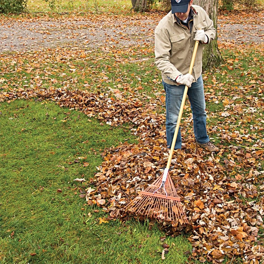 Bulk Pack Of 6Rakes - Spring Rakes With 24-Tine Steel Head And American Ash Handle By A.M. Leonard 6 Bulk Pack Of 6Rakes - Spring Rakes With 24-Tine Steel Head And American Ash Handle By A.M. Leonard - Image 4