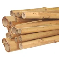 Natural 7ft Bamboo Stakes, Premium First Cut, 24-26mm Diameter, Bundle Of 50