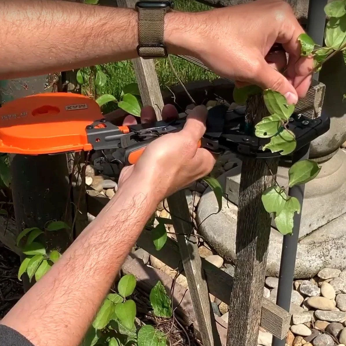 Max Tapener Hand-Tying Machine 10 Max Tapener Hand-Tying Machine - Image 8