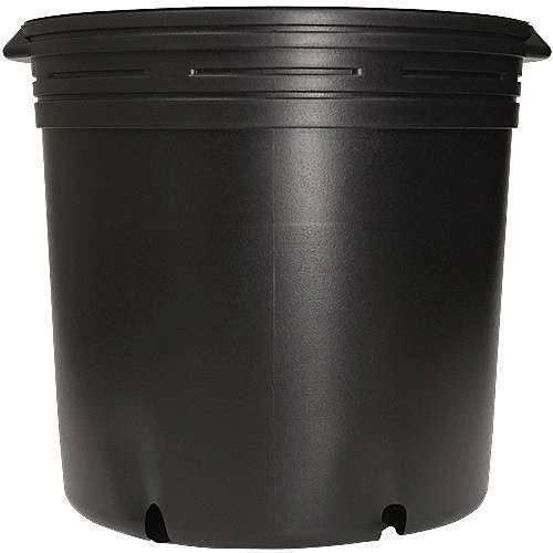 Nursery Container, Blow Molded, Trade 25, Bundle Of 10, Classic Line By NSI 4 Nursery Container, Blow Molded, Trade 25, Bundle Of 10, Classic Line By NSI - Image 2