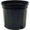 Nursery Container, Blow Molded, Trade 1 Squat, Bundle Of 106, Classic Line By NSI -Amleos nsc300s