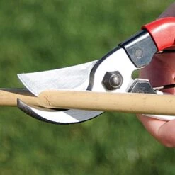 Okatsune Hand Pruners, 0.75-inch Cutting Capacity, 8-inch Length -Amleos ok101 5 1