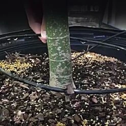 Dramm Pressure Compensating Dribble Rings 8-1/2 In Diameter, Pack Of 25 9 Dramm Pressure Compensating Dribble Rings 8-1/2 In Diameter, Pack Of 25 -Amleos pcr085 8 live