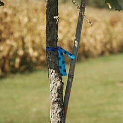 Flagging/Tagging Tape, Blue With Black Polka Dots, 1-3/16in X 300ft, Non-Adhesive, Box Of 12 Rolls -Amleos pdm 3b 2 1