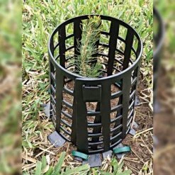 Plant Knight Plant And Tree Guard -Black - 3 Pack -Amleos pkbl3 live sapling 1