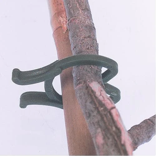 Plant Loops 1" 1000 Per Bag 4 Plant Loops 1" 1000 Per Bag - Image 2