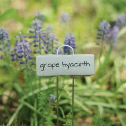 Plant Display Marker, 1-1/4in X 3-1/2in Zinc Name Plate With 21in Stake, Pack Of 25 Markers 9 Plant Display Marker, 1-1/4in X 3-1/2in Zinc Name Plate With 21in Stake, Pack Of 25 Markers -Amleos pmd 10 3 2