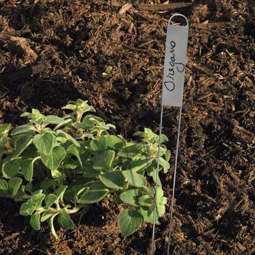 Vertical Plant Marker With Zinc Name Plate, .875in X 3.25in, 25-Pack 5 Vertical Plant Marker With Zinc Name Plate, .875in X 3.25in, 25-Pack - Image 3