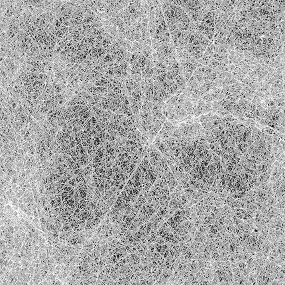 Germination And Insect Blanket 4 Germination And Insect Blanket - Image 2