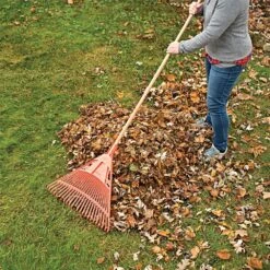 Bulk Pack Of 6Rakes - 24-Inch Wide Poly Lawn Rakes With American Ash Handle By A.M. Leonard 11 Bulk Pack Of 6Rakes - 24-Inch Wide Poly Lawn Rakes With American Ash Handle By A.M. Leonard -Amleos pr24u 6 2