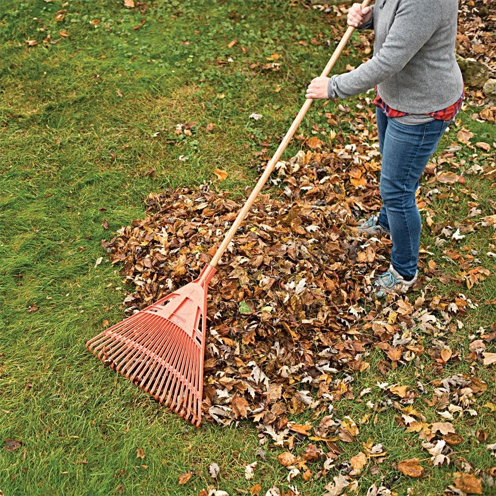 Bulk Pack Of 6Rakes - 24-Inch Wide Poly Lawn Rakes With American Ash Handle By A.M. Leonard 7 Bulk Pack Of 6Rakes - 24-Inch Wide Poly Lawn Rakes With American Ash Handle By A.M. Leonard - Image 5