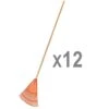 Bulk Pack Of 12Rakes - Lawn Rakes With 18in Poly Head And 54in Handle By A.M. Leonard -Amleos prc18 12