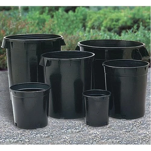 Nursery Container, Injection Molded, True 1, Bundle Of 60 By NSI 3 Nursery Container, Injection Molded, True 1, Bundle Of 60 By NSI