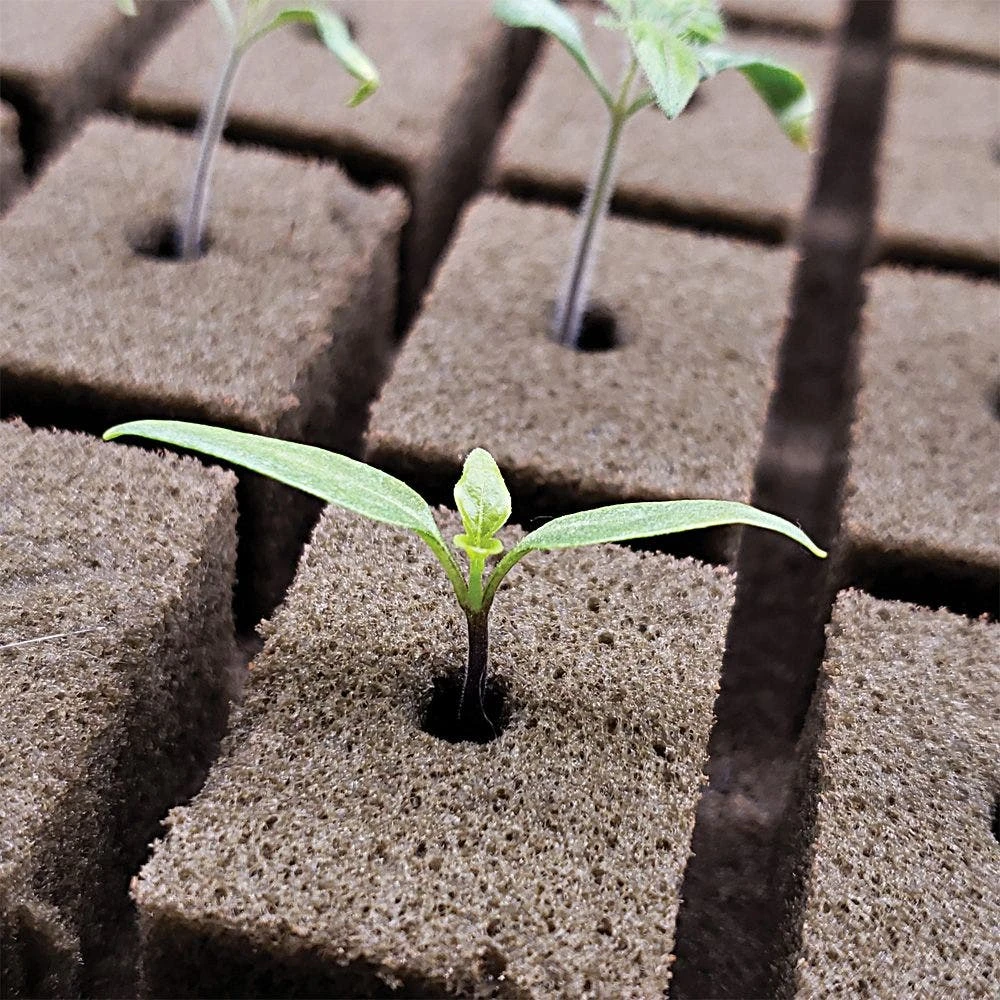 OASIS Grower Solutions Rootcubes, 104 Ct 6 OASIS Grower Solutions Rootcubes, 104 Ct - Image 4