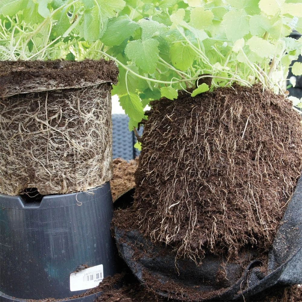 Grow Bags, 7 Gallon, Bundle Of 10, Grey Line With Handles By Root Pouch 4 Grow Bags, 7 Gallon, Bundle Of 10, Grey Line With Handles By Root Pouch - Image 2