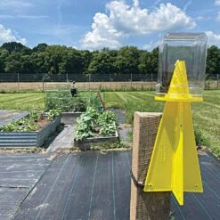 Stink Bug Dead-Inn Trap -Amleos sb3441 live garden