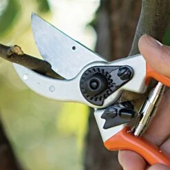 Pruners With Titanium-Coated Blades And Sheath Combo Kit By A.M. Leonard -Amleos scc8com 4