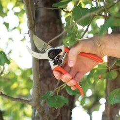 Pruners With Titanium-Coated Blades And Sheath Combo Kit By A.M. Leonard -Amleos scc8com 5