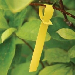 Vinyl Slip'N Lock Loop Lock Labels, Yellow, 5/8in X 5-1/2in, Roll Of 1,000 Labels -Amleos sl558 4y 3