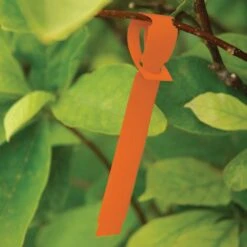 Vinyl Slip'N Lock Loop Lock Labels, Orange, 5/8in X 5-1/2in, Roll Of 1,000 Labels -Amleos sl558 5o 3