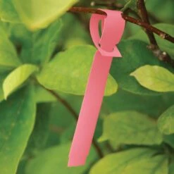 Vinyl Slip'N Lock Loop Lock Labels, Pink, 5/8in X 5-1/2in, Roll Of 1,000 Labels -Amleos sl558 6p 3