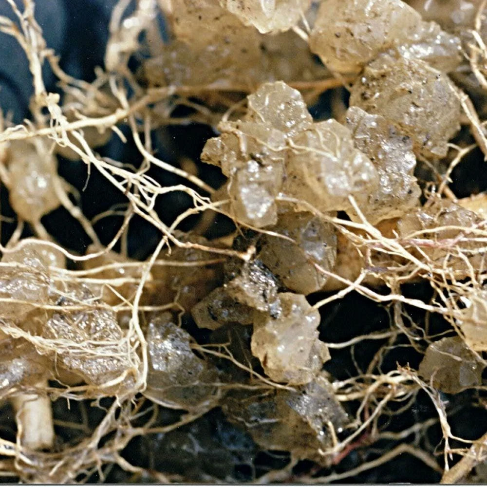 Soil Moist 9-3-6 Moisture-Holding Controlled Release Fertilizer, Case Of 200 Packs 5 Soil Moist 9-3-6 Moisture-Holding Controlled Release Fertilizer, Case Of 200 Packs - Image 3