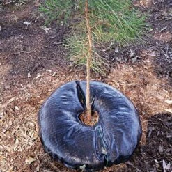 Plant Hydration System, Round, 24in Diameter, By Tree Diaper