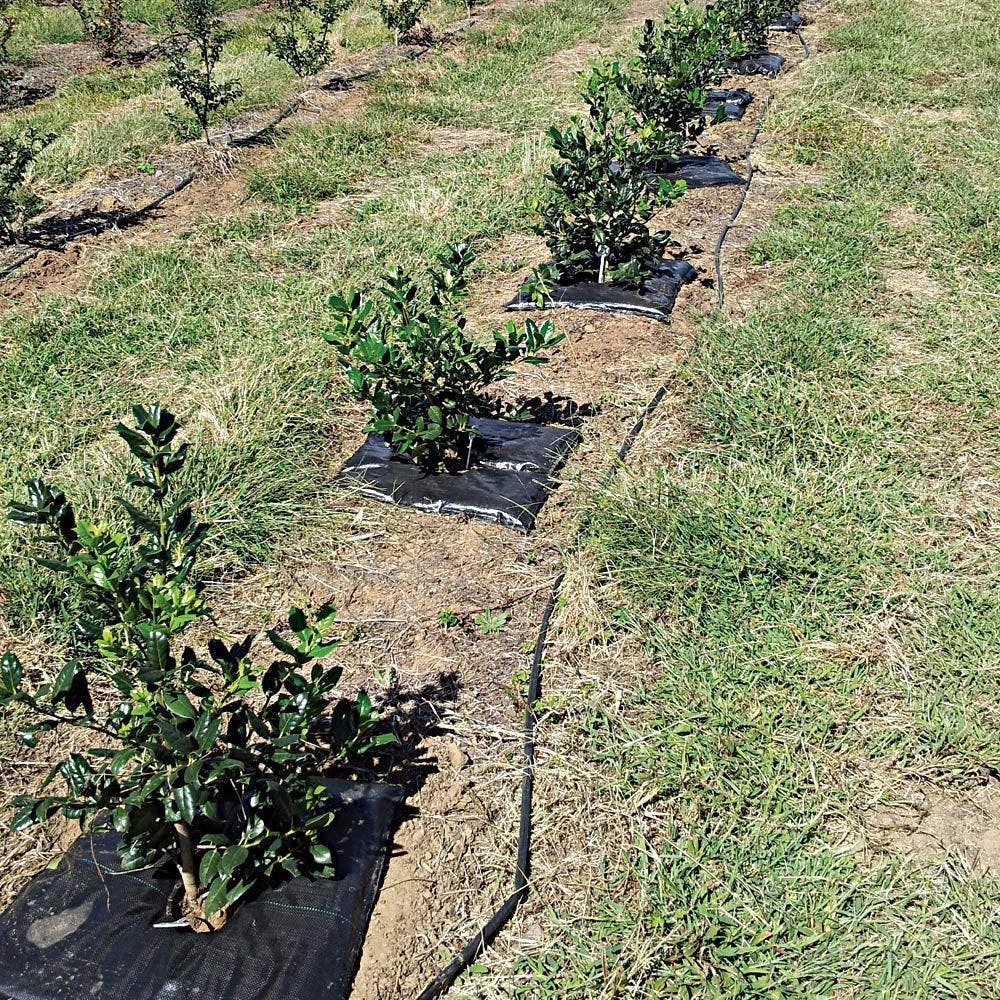 Plant Hydration System, Square, 24in X 24in, Landscaper Pro Pack Of 24 By Tree Diaper 4 Plant Hydration System, Square, 24in X 24in, Landscaper Pro Pack Of 24 By Tree Diaper - Image 2