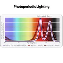 TotalGrow Pure Flowering 200 Lamp -Amleos tg1a4 2
