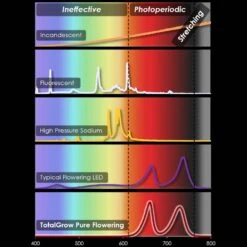 TotalGrow Pure Flowering 200 Lamp -Amleos tg1a4 5