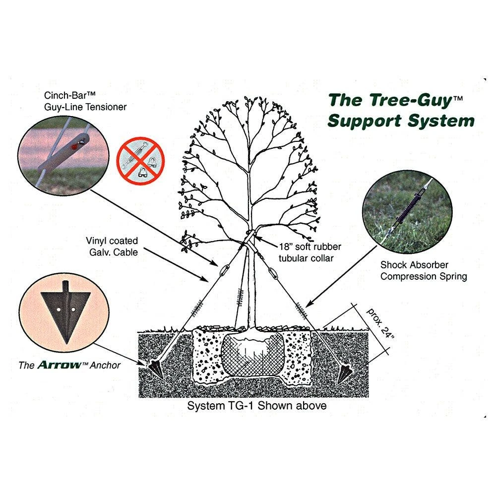 Arrow Anchor Kit With 12ft Tree Tie Webbing By Tree-Guy 6 Arrow Anchor Kit With 12ft Tree Tie Webbing By Tree-Guy - Image 4