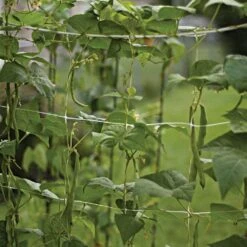 Trellis Netting, 5ft Height X 328ft Length By Hortonova -Amleos tn5328 12